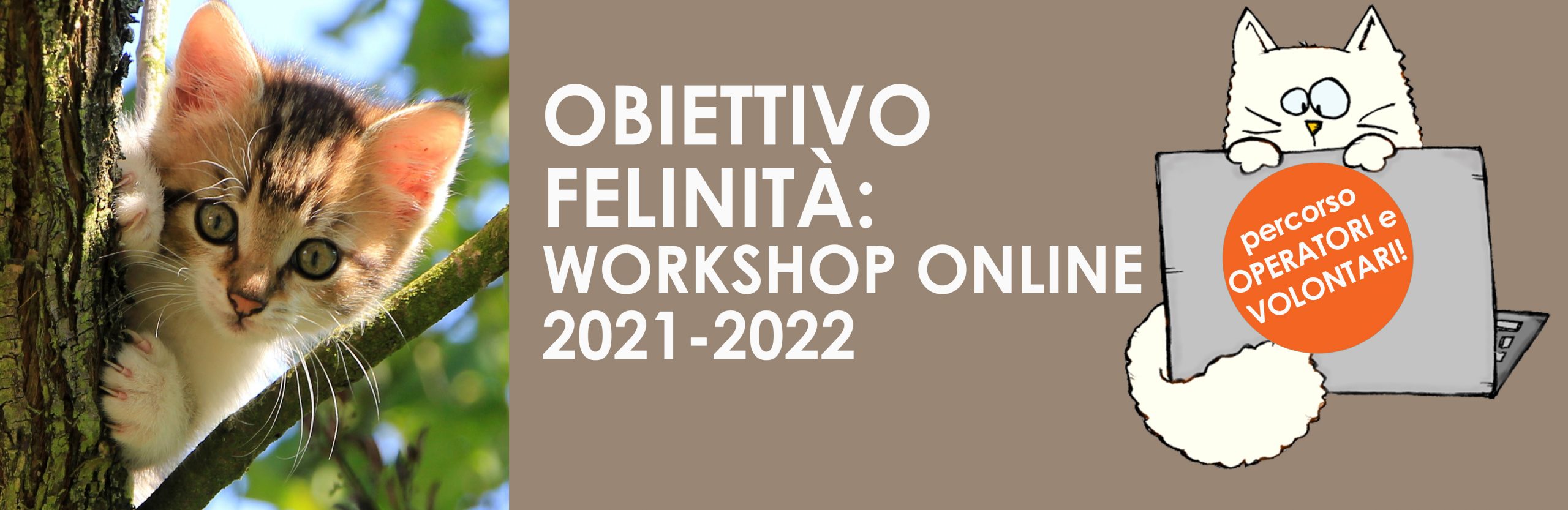 Gatto: 12 workshop per professionisti e volontari dedicati al gatto
