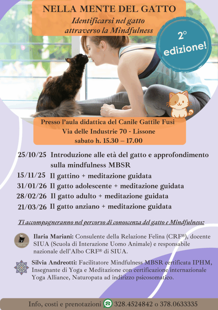 mindfulness e gatti - nella mente del gatto